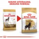 Royal Canin Adult Rottweiler hondenvoer