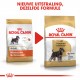 Royal Canin Adult Mini Schnauzer hondenvoer