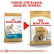 Royal Canin Adult Shih Tzu hondenvoer