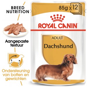 Royal Canin Teckel/Dachshund Adult Wet