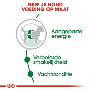 Royal Canin Mini Adult hondenvoer