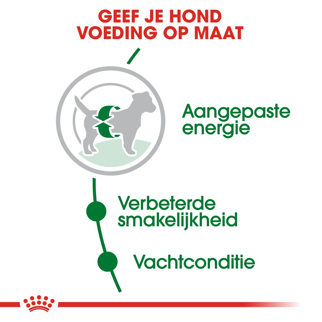 Royal Canin Mini Adult hondenvoer