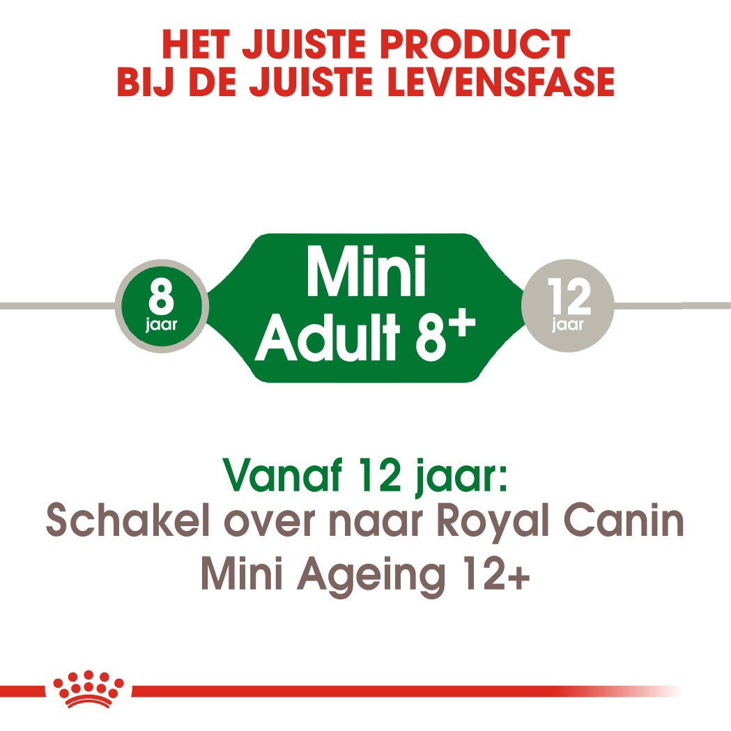 Royal Canin Mini Adult 8+ hondenvoer