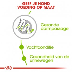 Royal Canin Mini X-Small Adult voor de hond