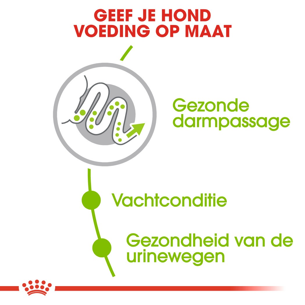 Royal Canin Mini X-Small Adult voor de hond