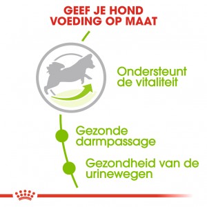 Royal Canin X-Small Adult 8+ hondenvoer
