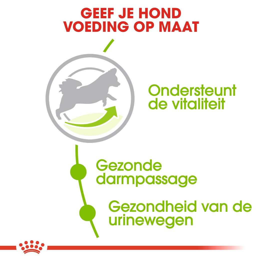 Royal Canin X-Small Adult 8+ hondenvoer