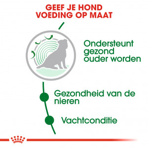 Royal Canin Mini Ageing 12+ hondenvoer