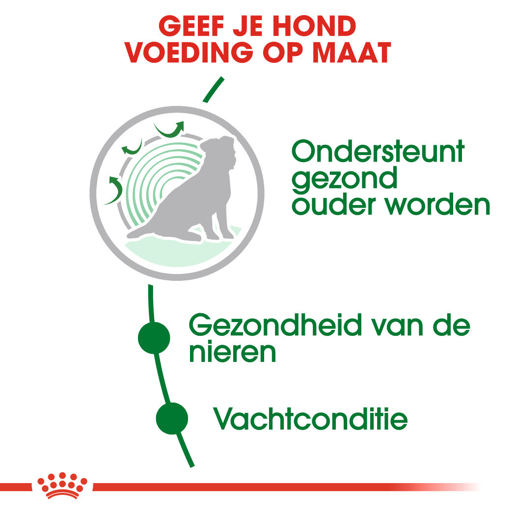 Royal Canin Mini Ageing 12+ hondenvoer