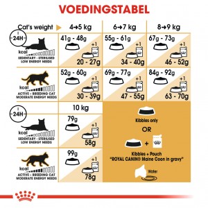 Royal Canin Adult Maine Coon kattenvoer