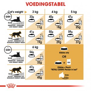 Royal Canin Adult Persian kattenvoer