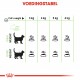 Royal Canin Digestive Care kattenvoer