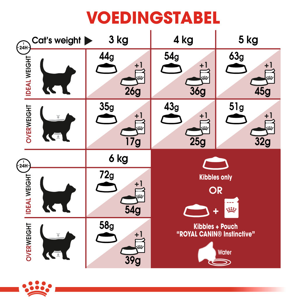 Royal Canin Regular Fit 32 kattenvoer