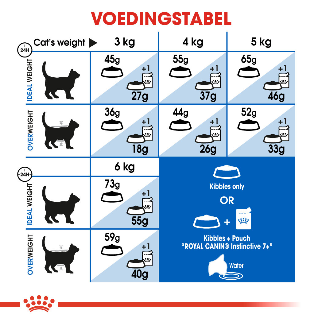 pols Grootte Ontvanger Royal Canin Indoor 7+ kattenvoer - Bestel je voordelig online bij