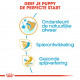 Royal Canin Puppy Boxer hondenvoer