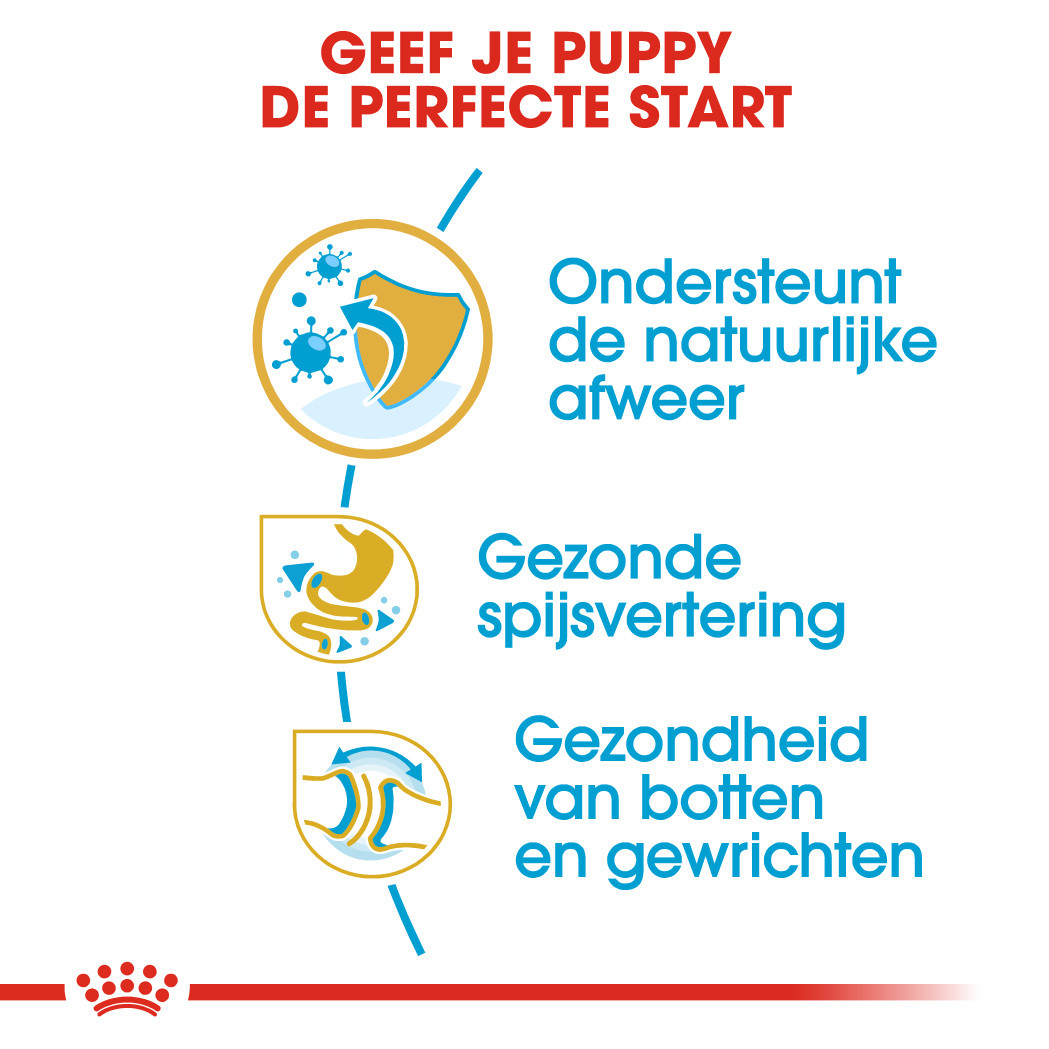 Royal Canin Puppy Bulldog hondenvoer