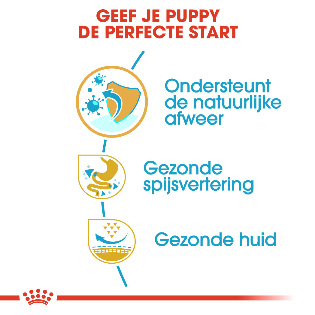 Royal Canin Puppy Franse Bulldog hondenvoer