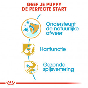 Royal Canin Puppy Cavalier King Charles hondenvoer