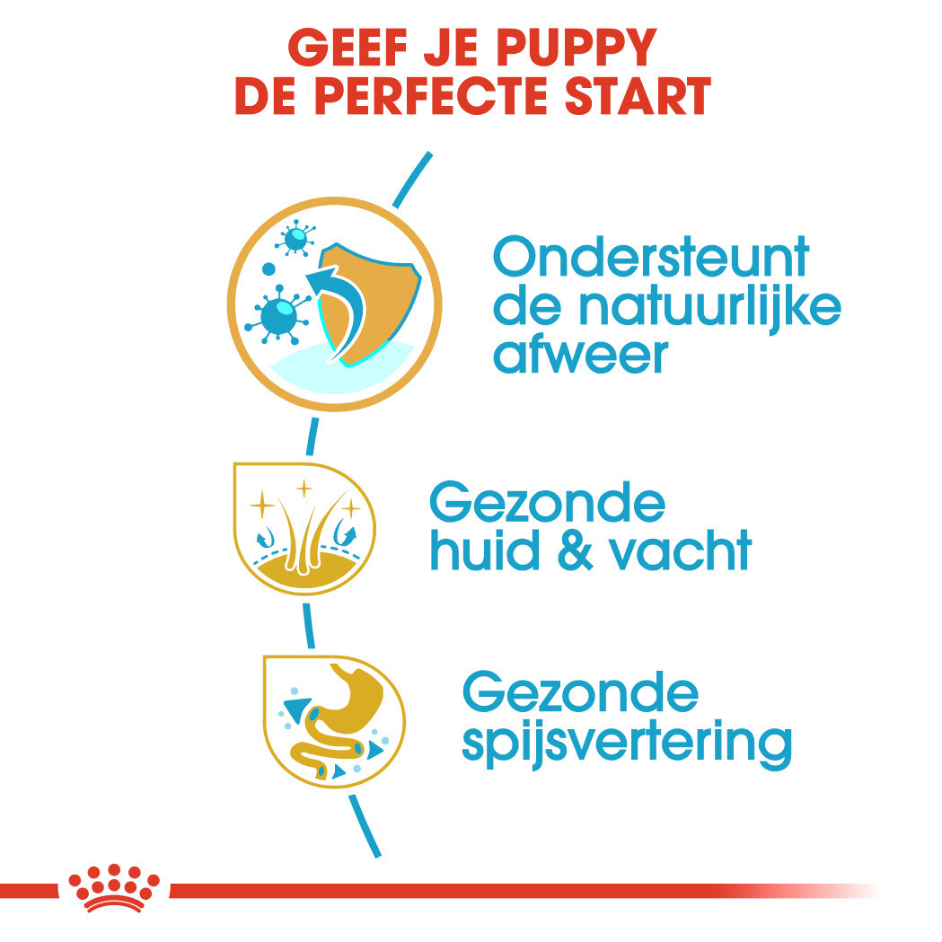 Royal Canin Puppy Cocker Spaniel hondenvoer