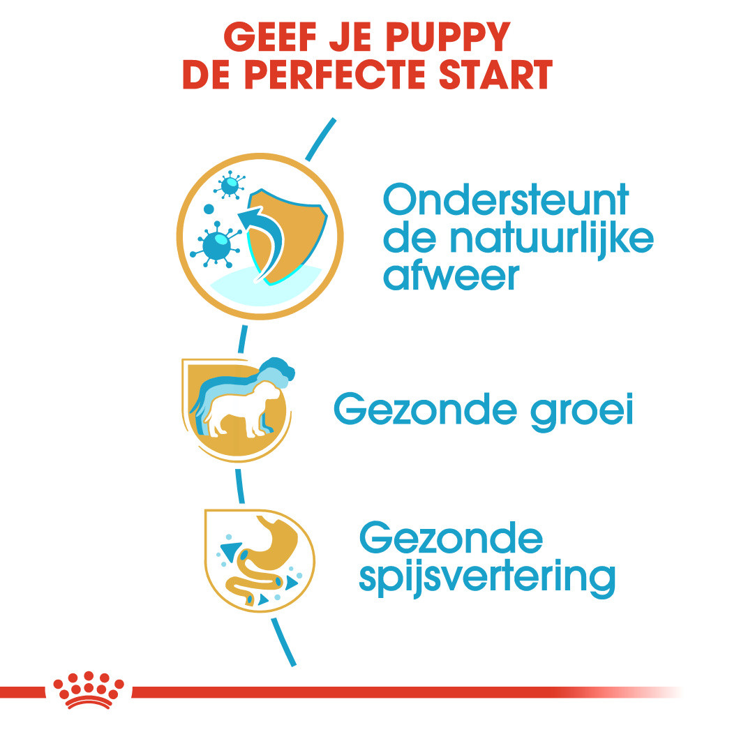 Royal Canin Puppy Jack Russell Terriër hondenvoer