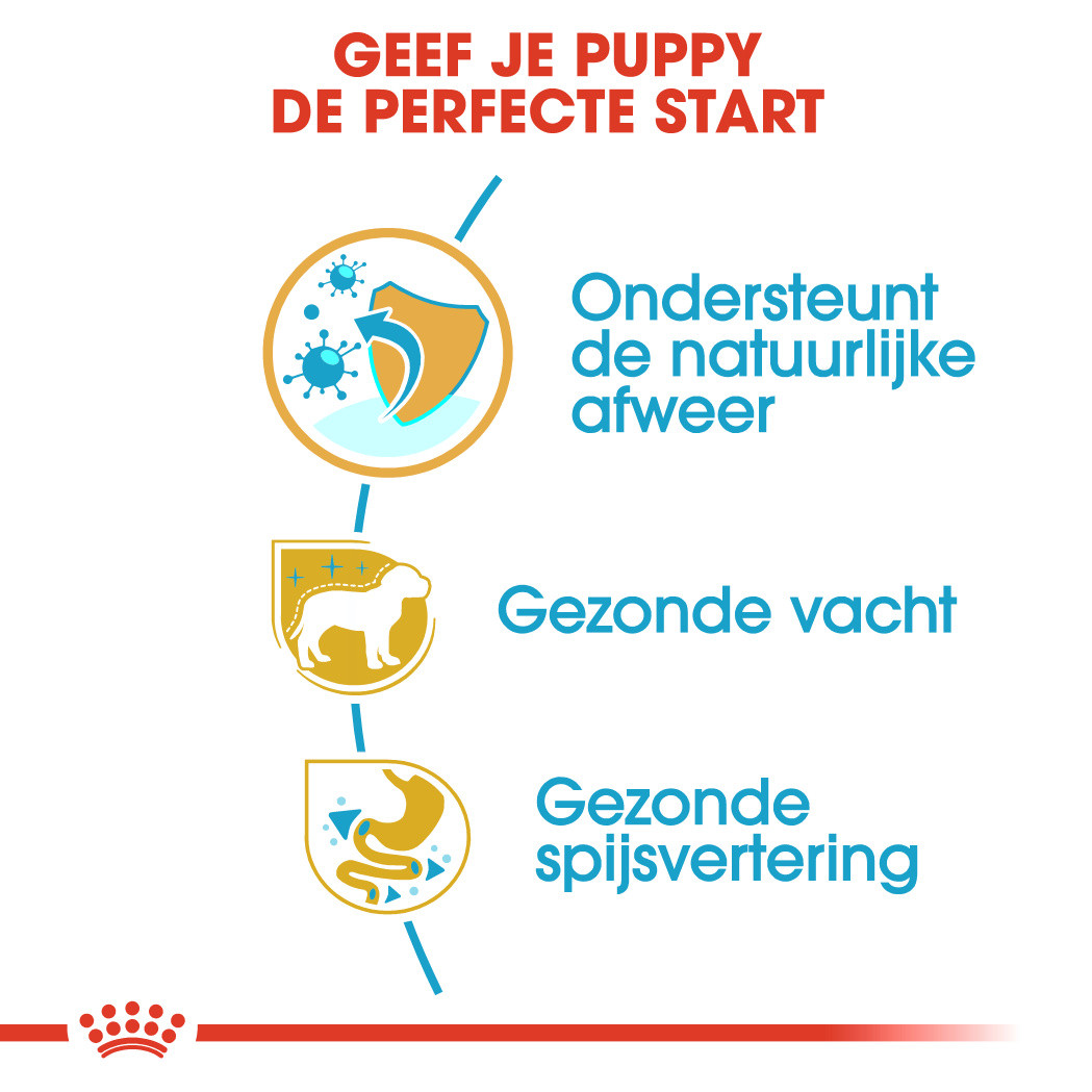 Royal Canin Poodle 33 junior hondenvoer