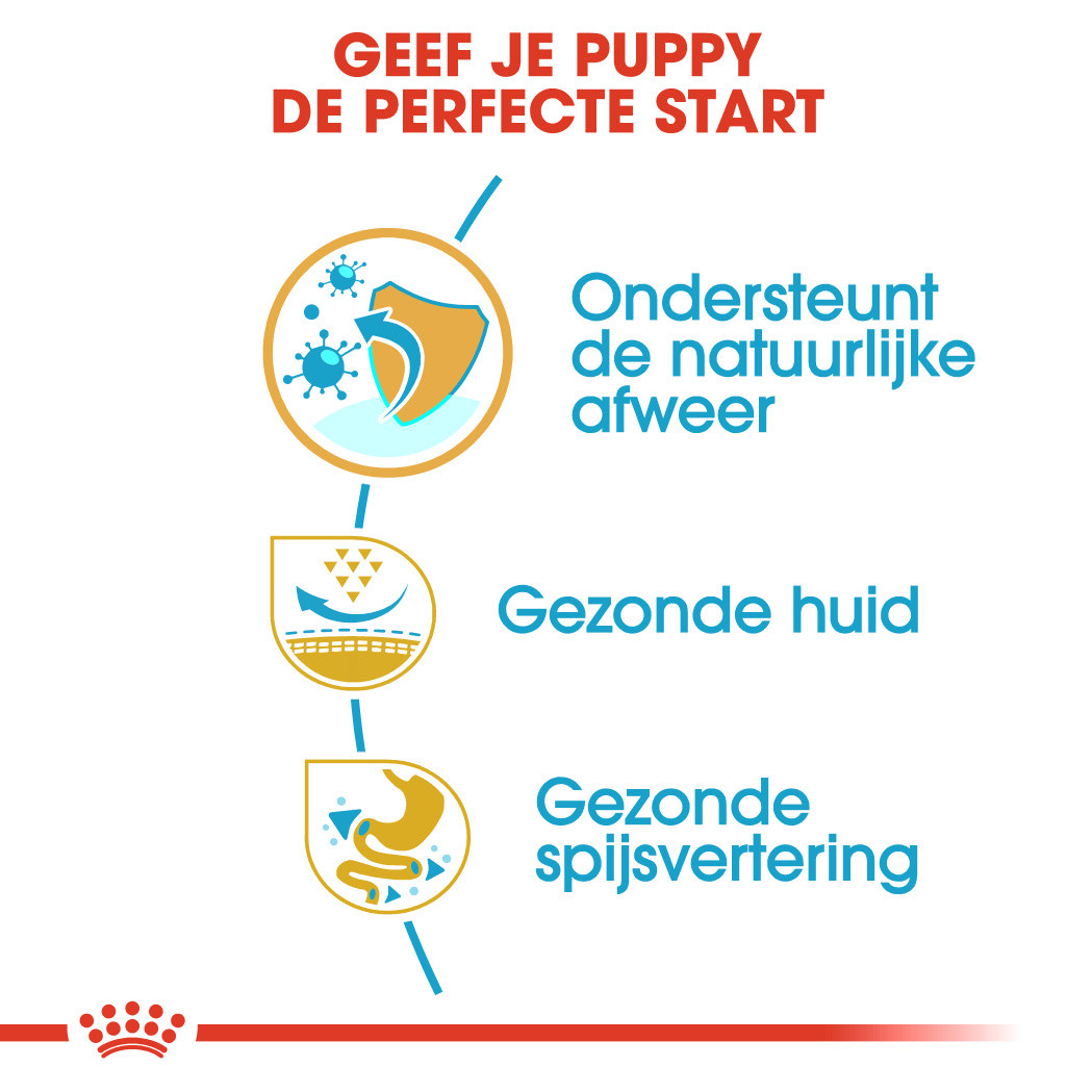 Royal Canin Puppy Pug (Mopshond) hondenvoer