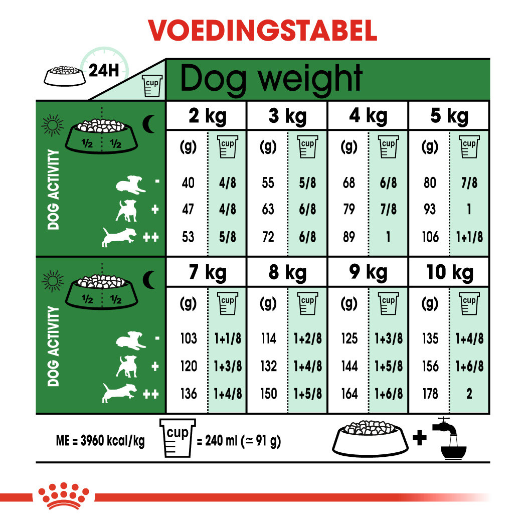 redactioneel elf Onbevredigend Royal Canin Mini Adult hondenvoer - Voordelig bestellen bij