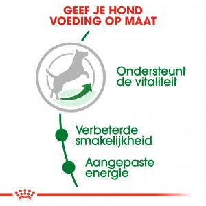 Royal Canin Mini Adult 8+ hondenvoer