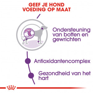 Royal Canin Giant Adult hondenvoer