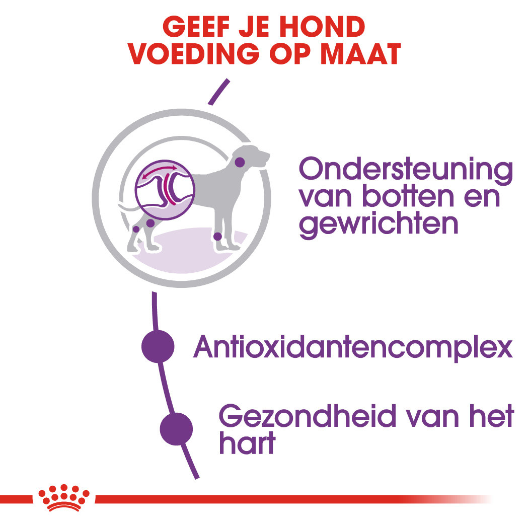 Royal Canin Giant Adult hondenvoer