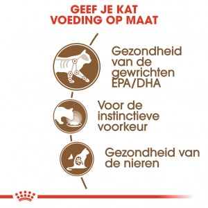 Royal Canin Ageing 12+ nat kattenvoer 12 zakjes