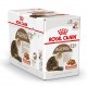Royal Canin Ageing 12+ nat kattenvoer 12 zakjes