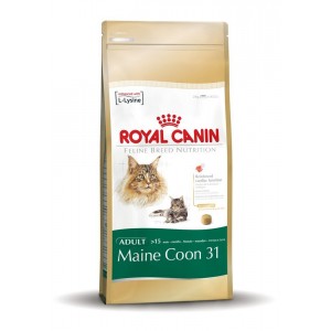 Royal Canin Maine Coon kattenvoer 2 x (10 2) kg