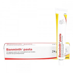 Banminth Pasta tegen wormen hond Per stuk
