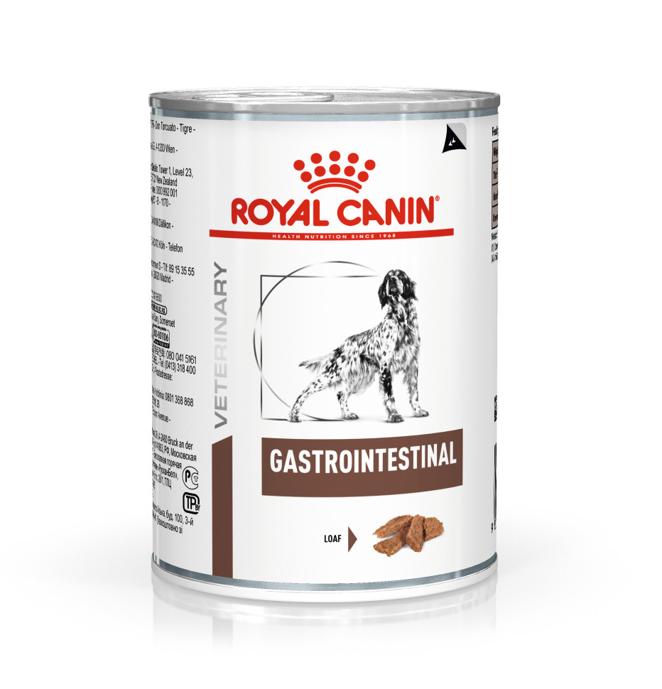 Seizoen Presentator Raadplegen Royal Canin Veterinary Gastrointestinal hondenvoer blik 400 g