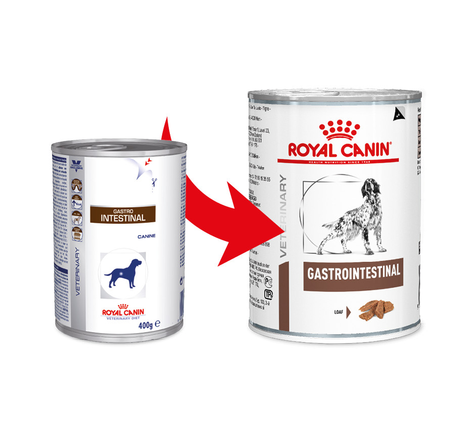 Royal Canin Veterinary Diet Gastro Intestinal blik 400 gr hond