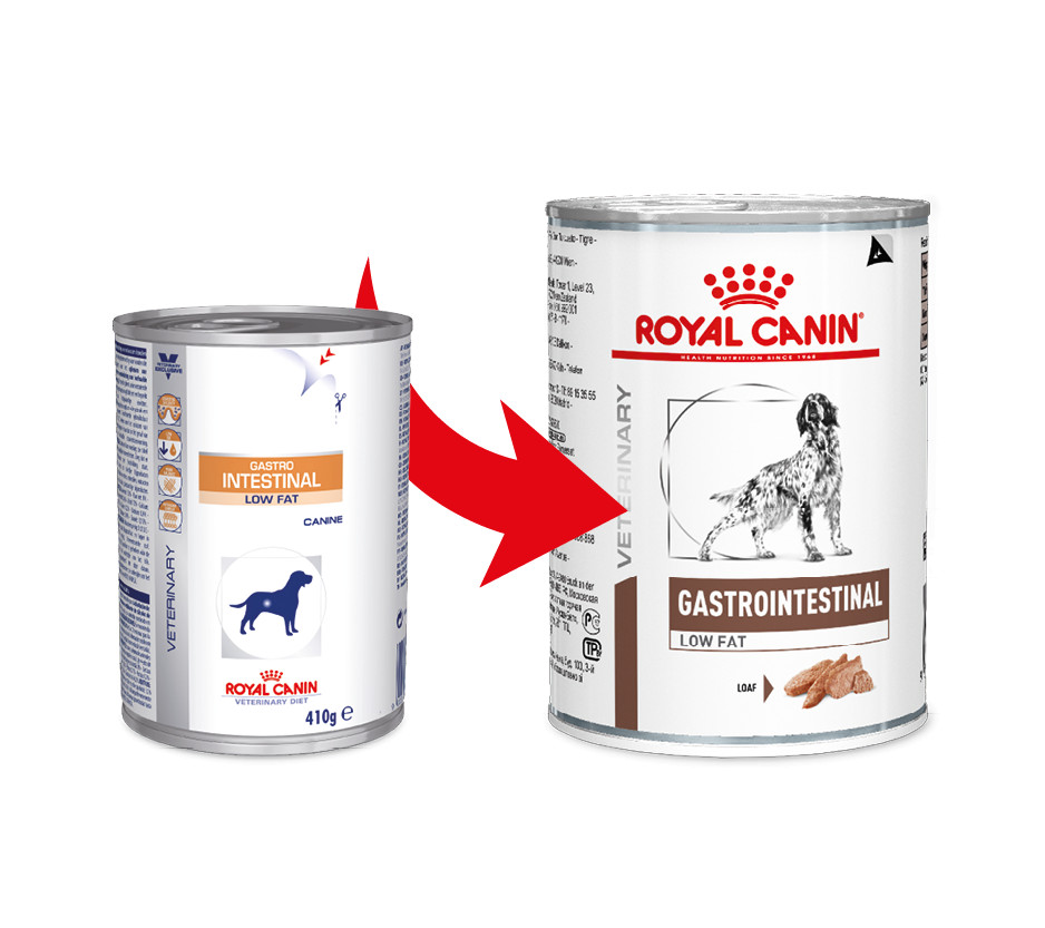 Onderdompeling mozaïek compact Royal Canin Veterinary Gastrointestinal Low Fat blik hondenvoer