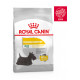 Royal Canin Mini Dermacomfort hondenvoer