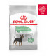 Royal Canin Mini Digestive Care hondenvoer