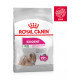 Royal Canin Mini Exigent hondenvoer