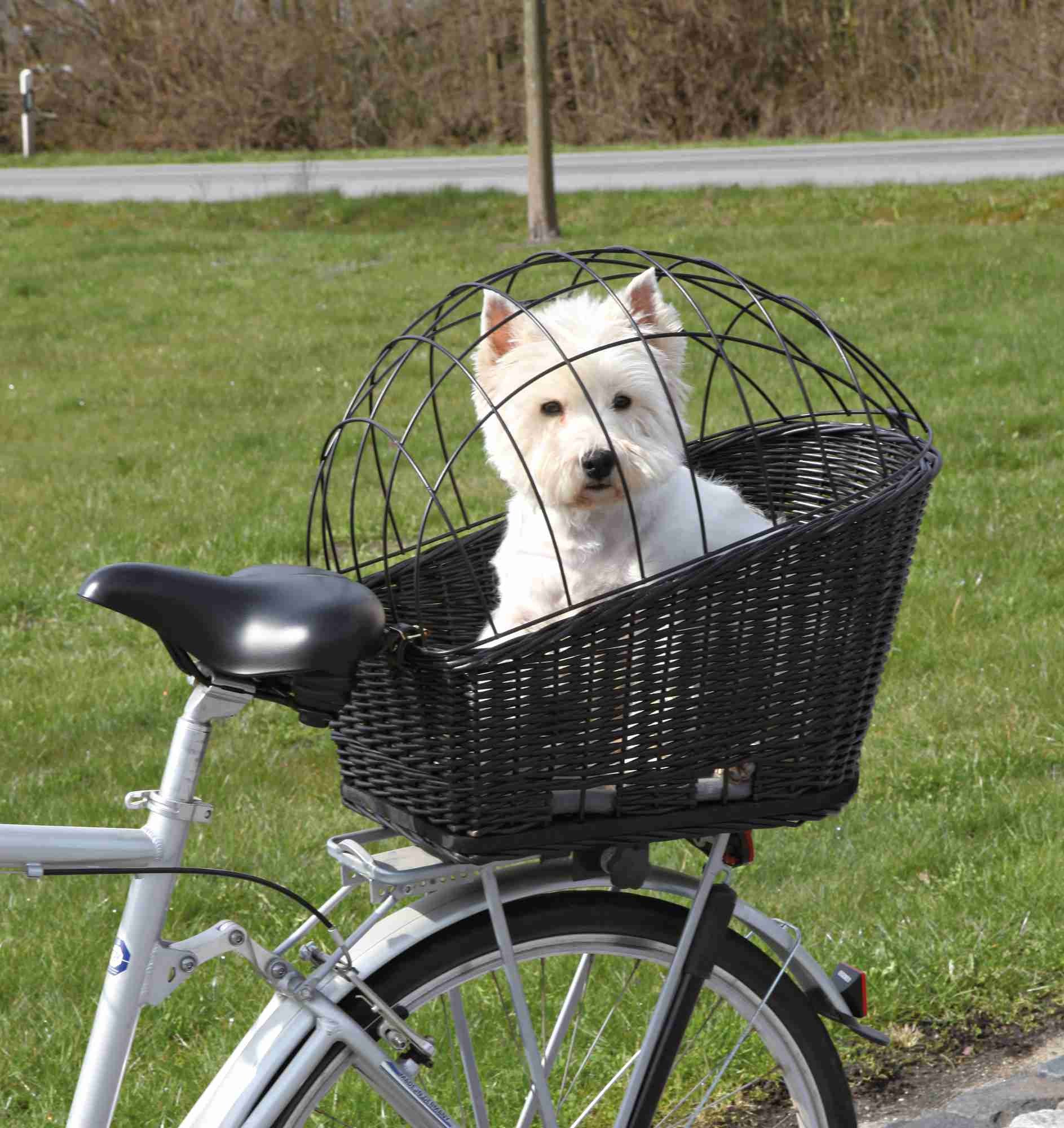 Tirannie niets pakket Fietsmand voor bagagedrager voor hond & kat | Voordelig