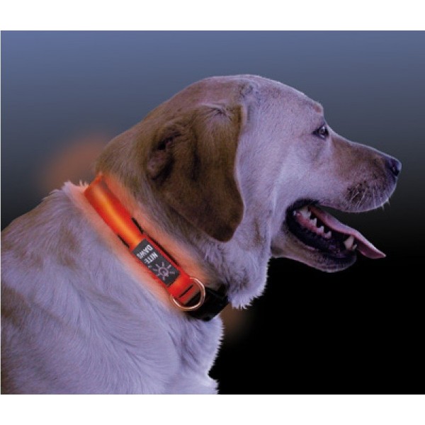 NiteDawg Lichtgevende Halsband voor de hond NiteDawg Lichtgevende Halsband voor de hond
