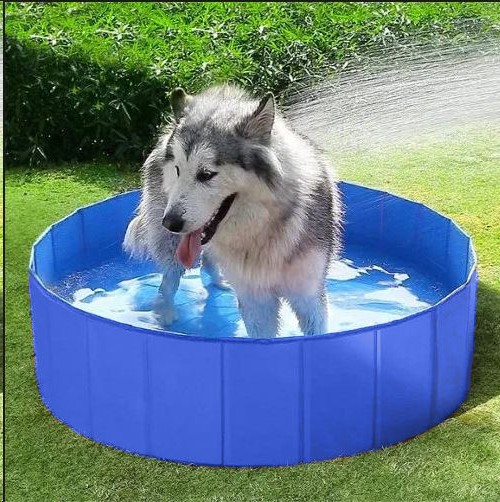 Zwembad voor de hond