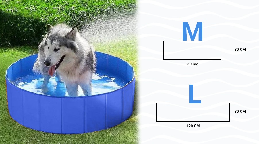 Zwembad voor de hond