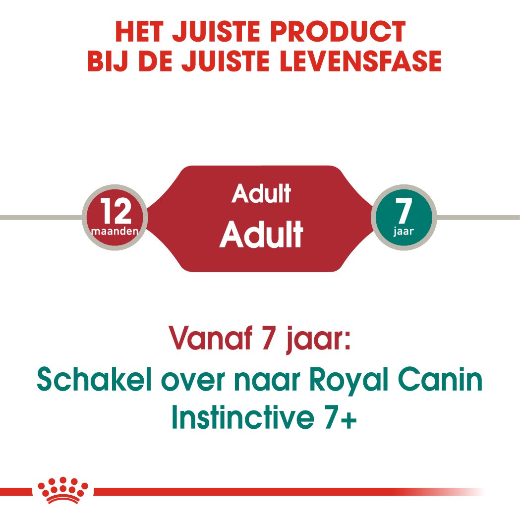 Royal Canin Instinctive Adult kattenvoer 12 zakjes