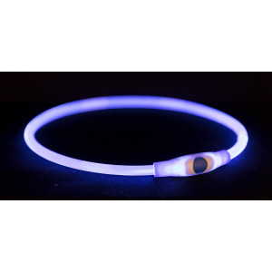 Flash lichthalsband 65 cm blauw voor de hond 3 stuks
