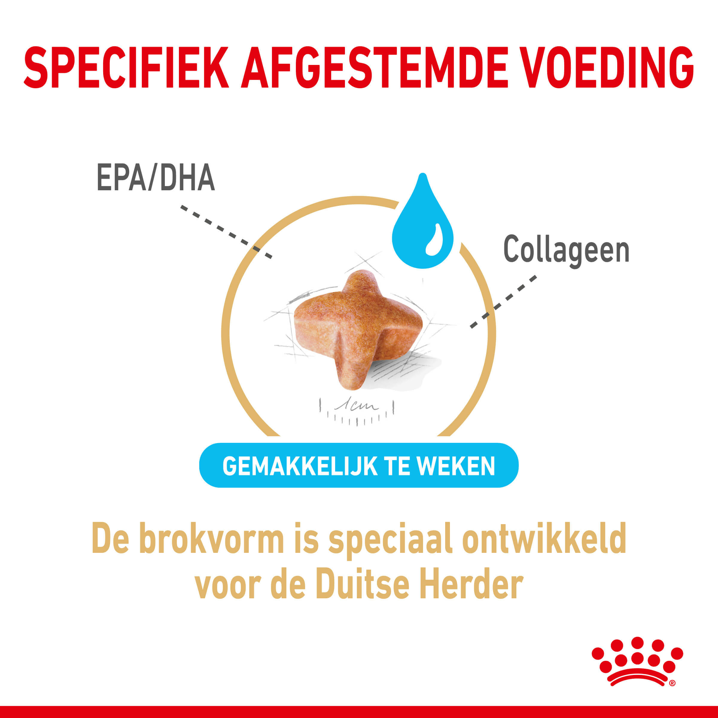 Royal Canin Adult 5+ German Shepherd hondenvoer