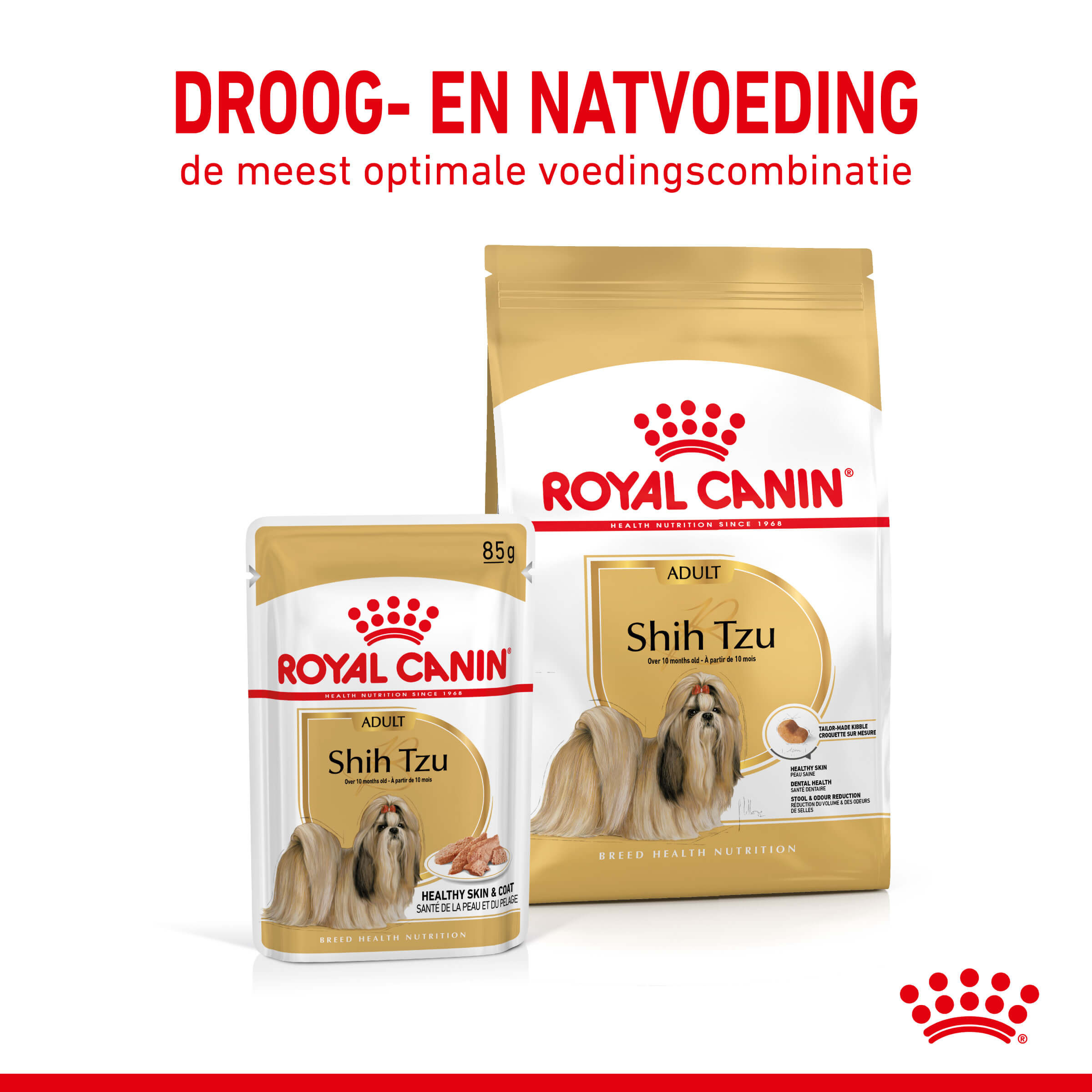 Royal Canin Adult Shih Tzu natvoer