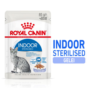 sticker Mier Schaap Royal Canin Indoor Sterilised in Jelly kattenvoer | Goedkoop