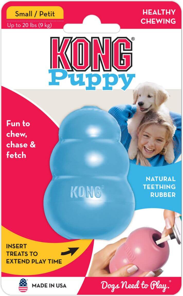 Kong Puppy